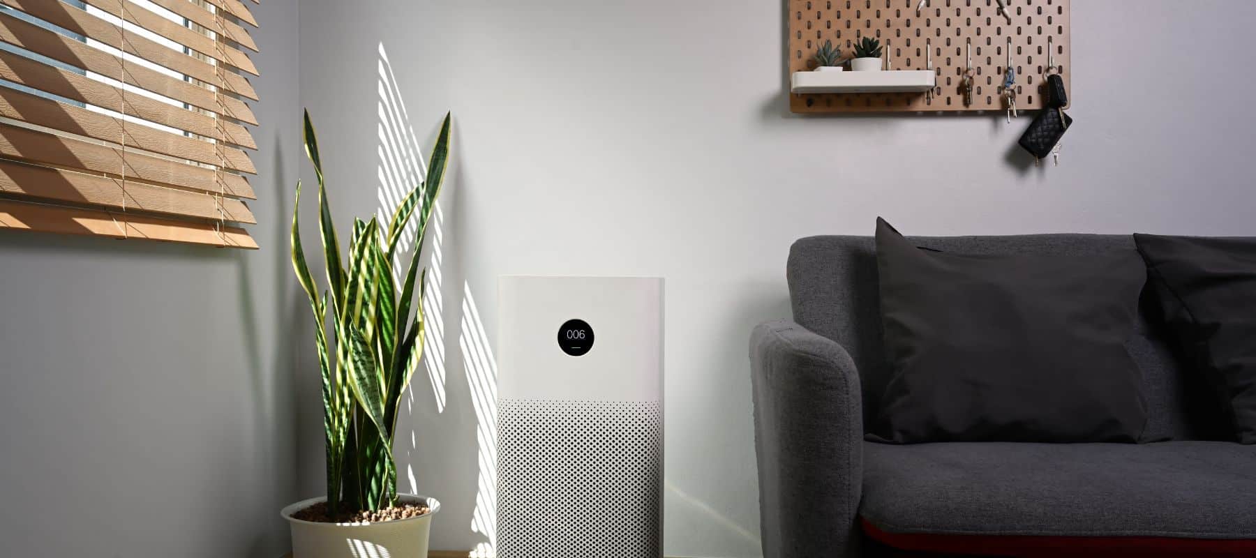 dehumidifier in a home's living room